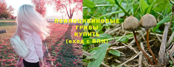 хмурый Горно-Алтайск