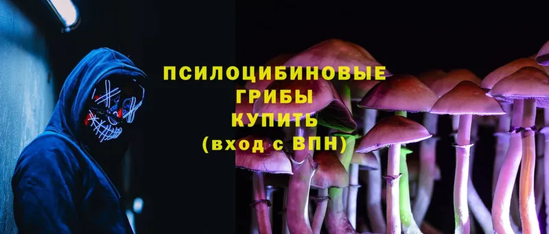 Галлюциногенные грибы MAGIC MUSHROOMS  kraken маркетплейс  Агрыз  цены  